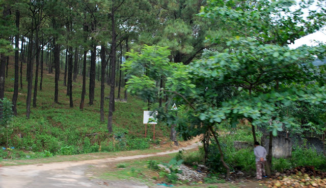 DSC_2145.JPG
