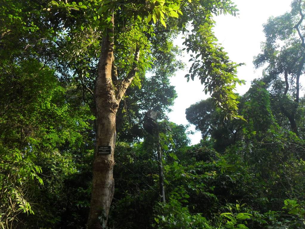 SDC14806.jpg