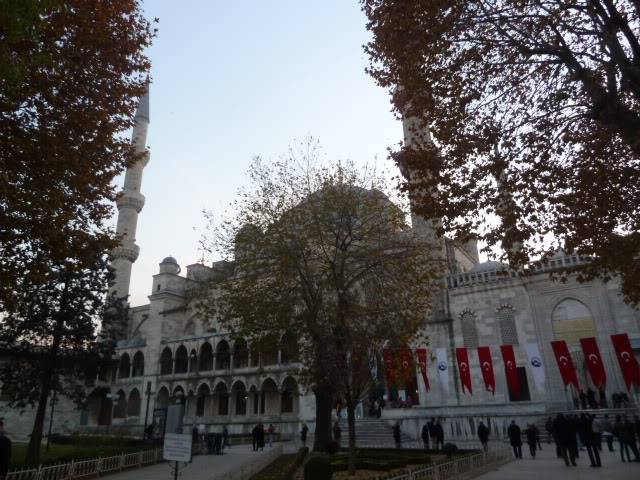 L1020720.jpg