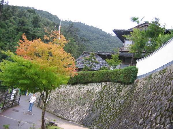 IMG_0951_resize.jpg