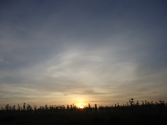DSC04433.jpg