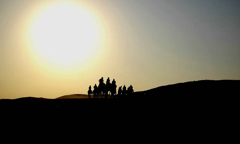 DSC_3782-1.jpg