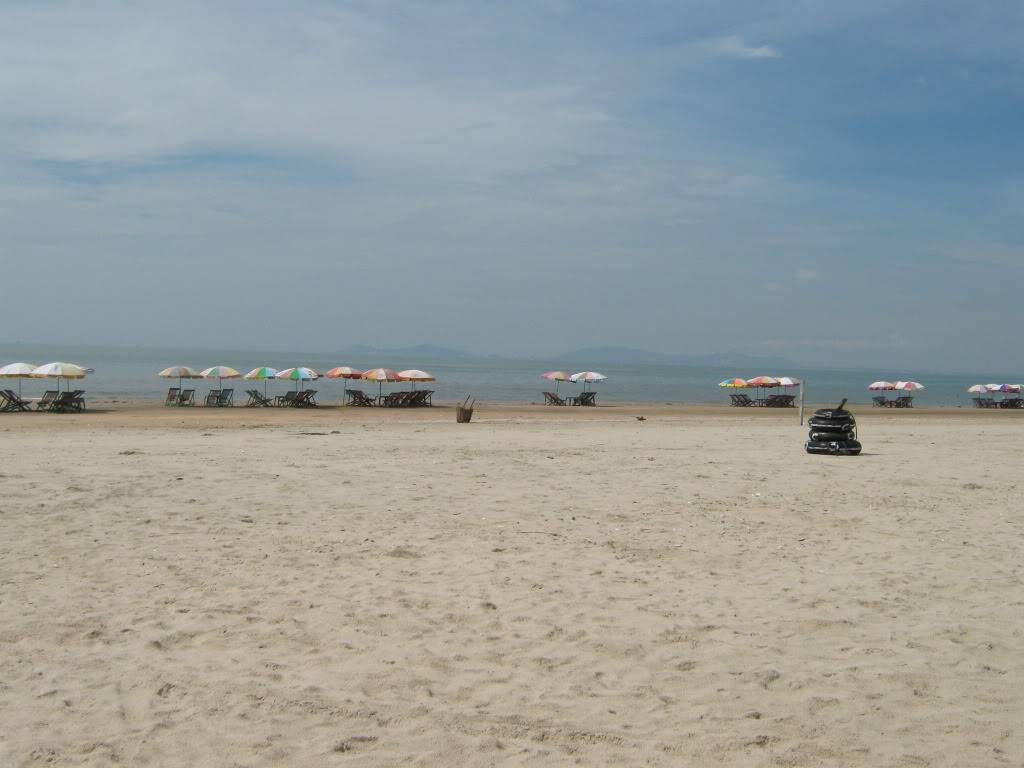 IMG_3013.jpg