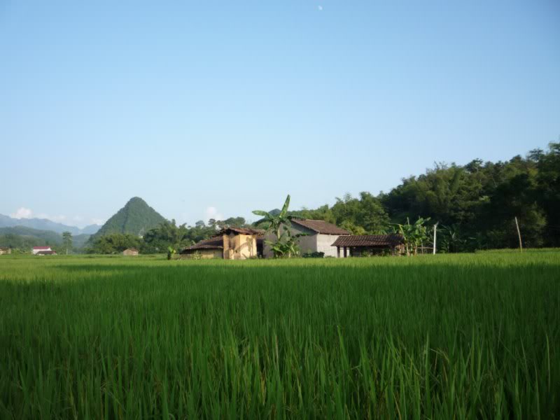 P1010759800x600.jpg