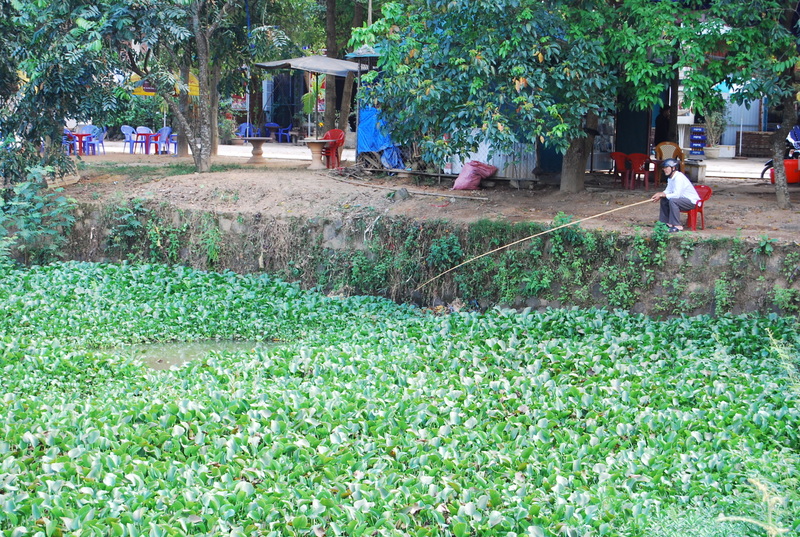 dsc6753r.jpg
