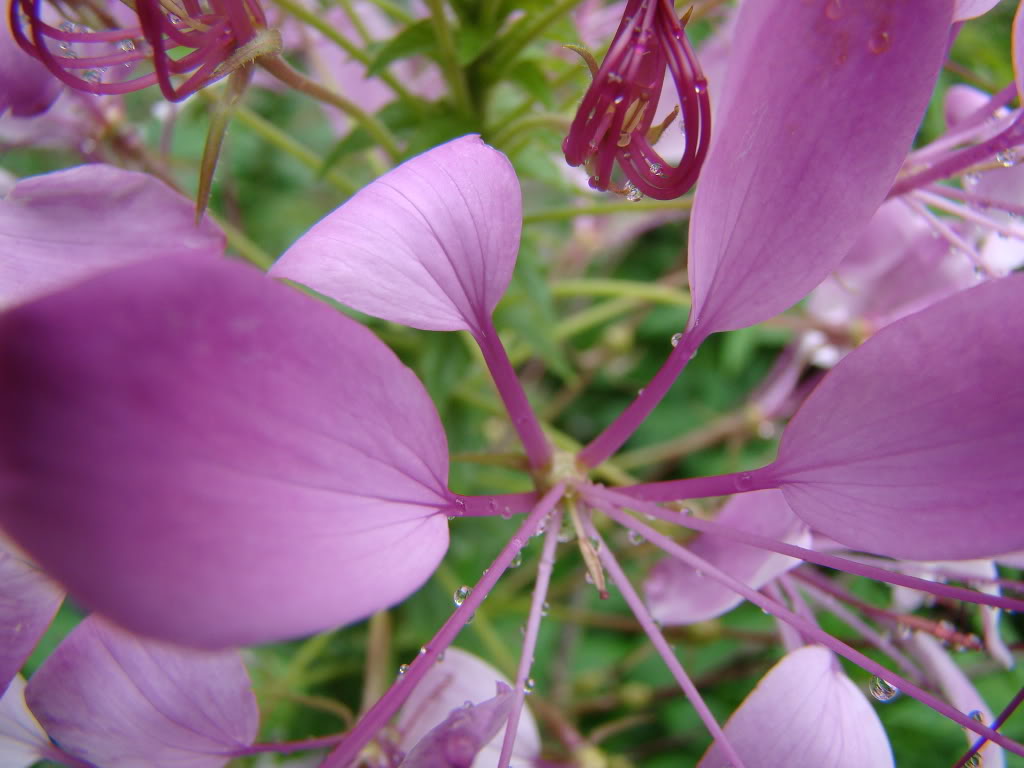 DSC09542.jpg