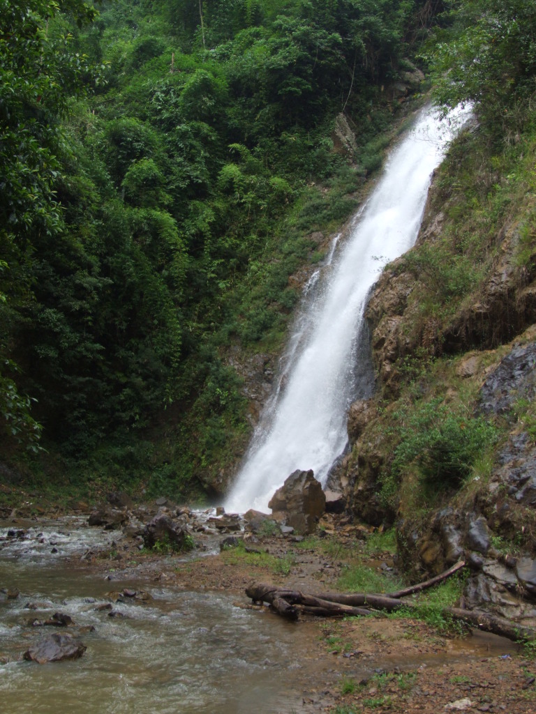 DSCF1599.jpg