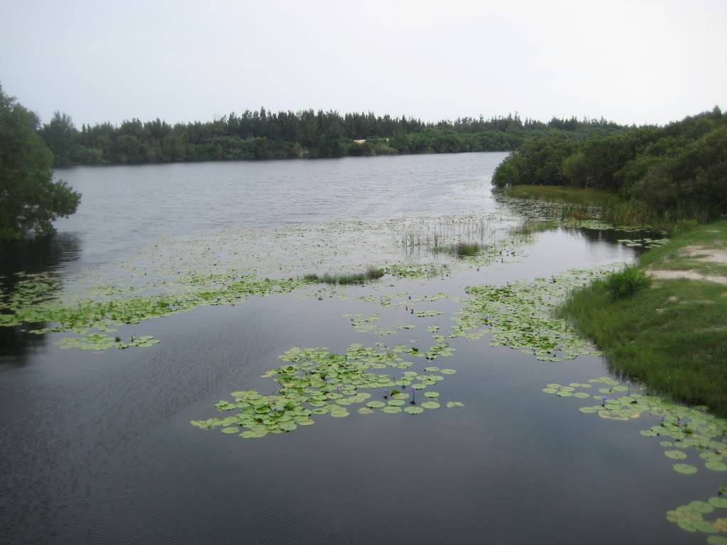 IMG_1475.jpg