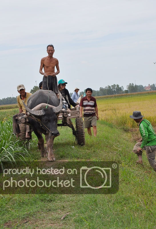 DSC_6759_zps4c33f8d1.jpg