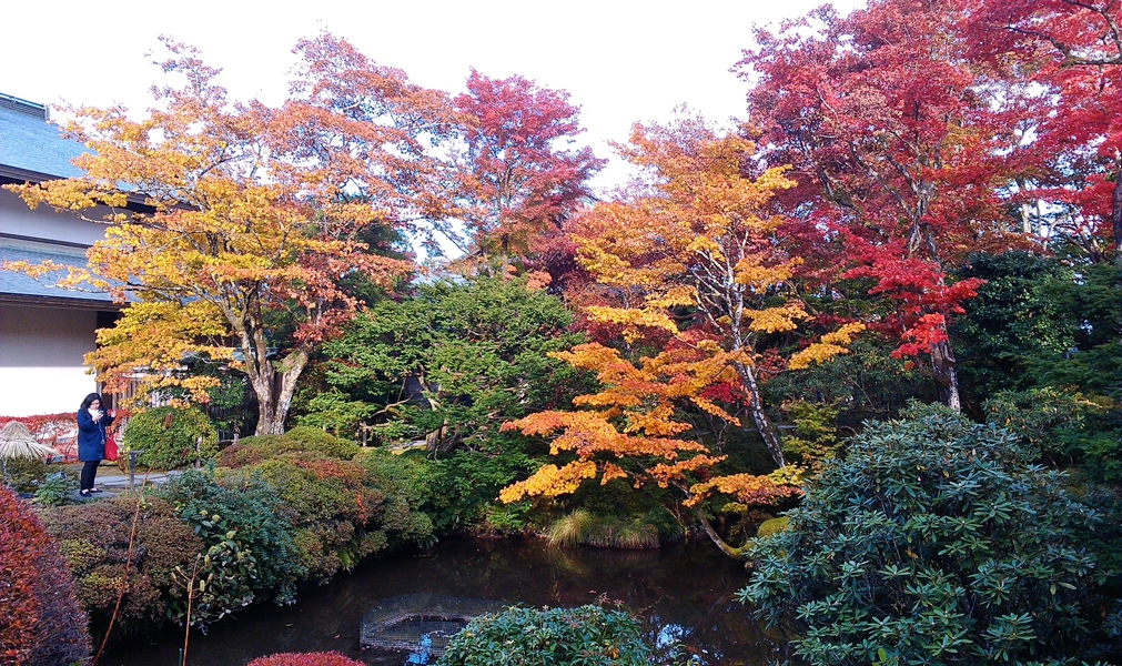 nikko33.jpg