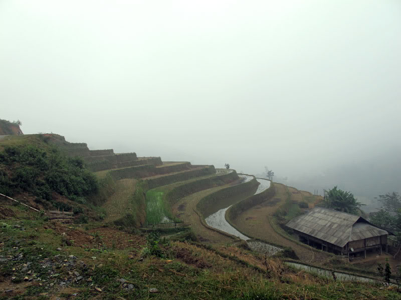 IMG_3548.jpg
