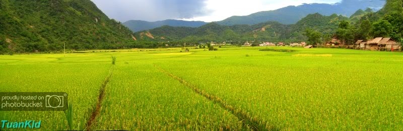 pano11.jpg