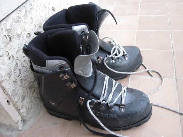 IMG_1398-1.jpg