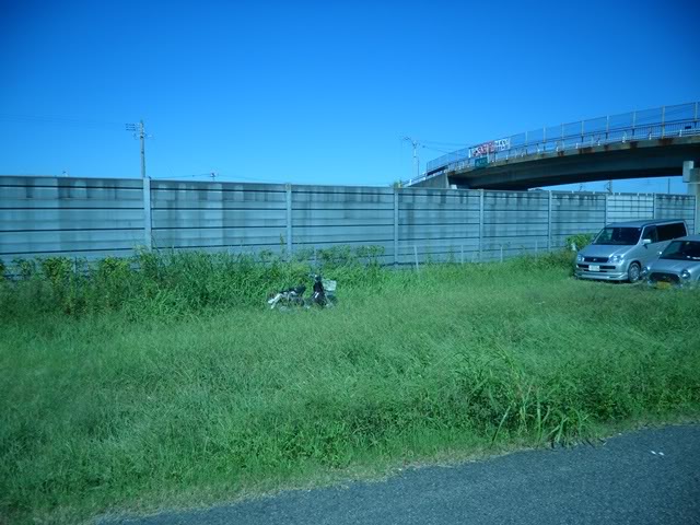 SAM_3270.jpg