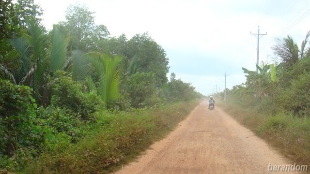 DSC06834.jpg