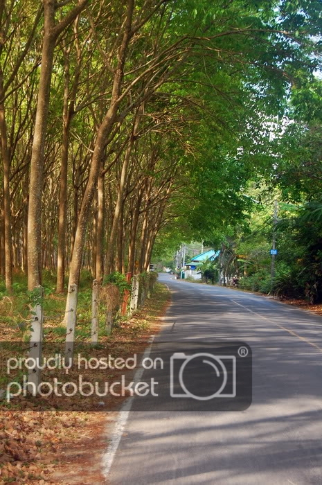 DSC_6896_resize.jpg