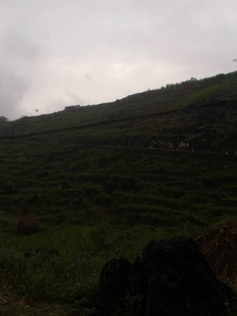 2012-10-28083411.jpg