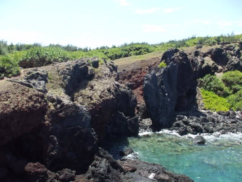 DSCF7581.jpg