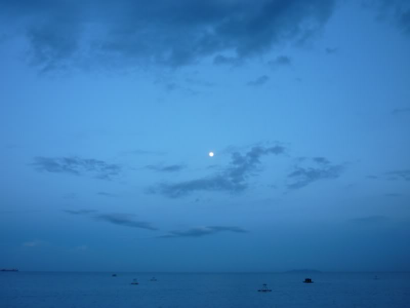 P1000272800x600.jpg