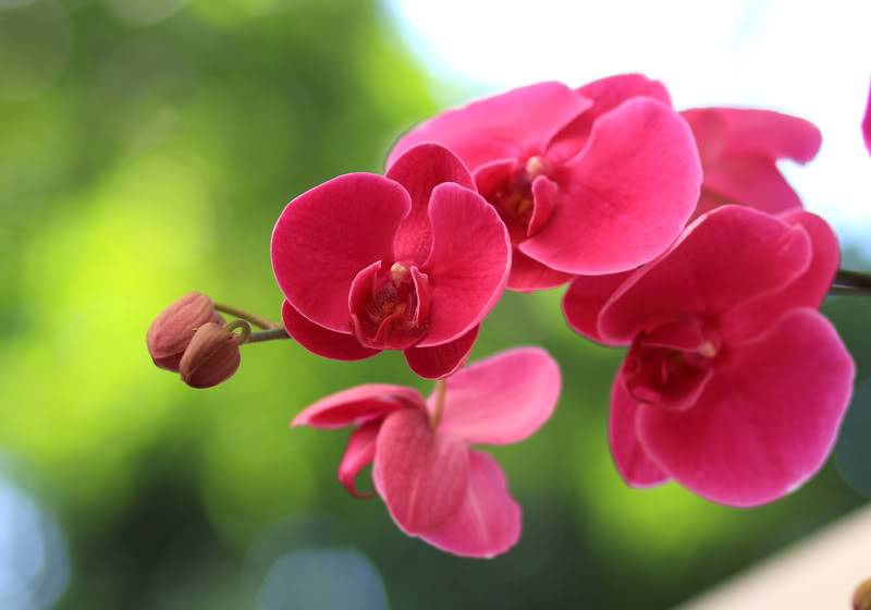 _MG_3398.jpg