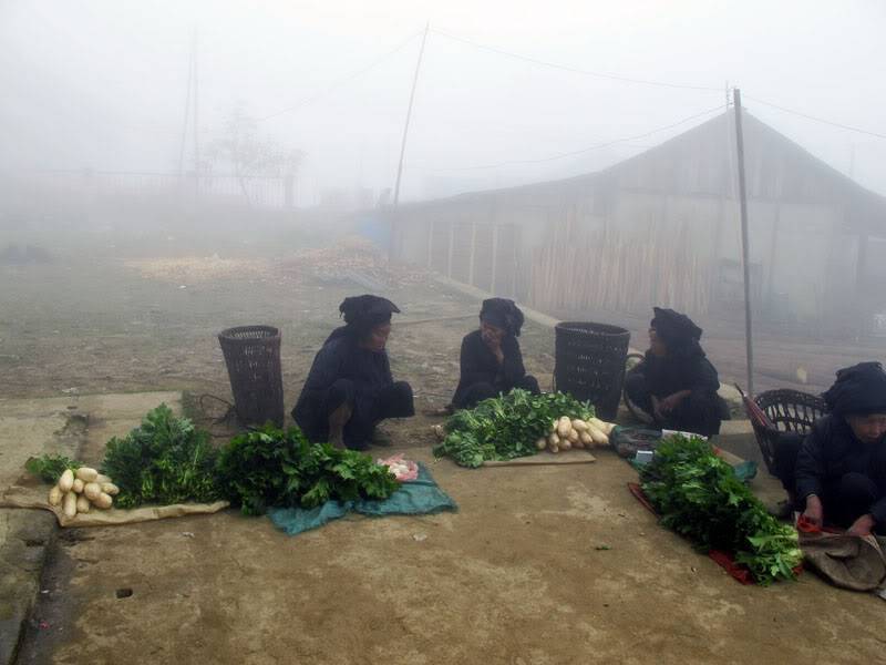 HongNgai2011254.jpg