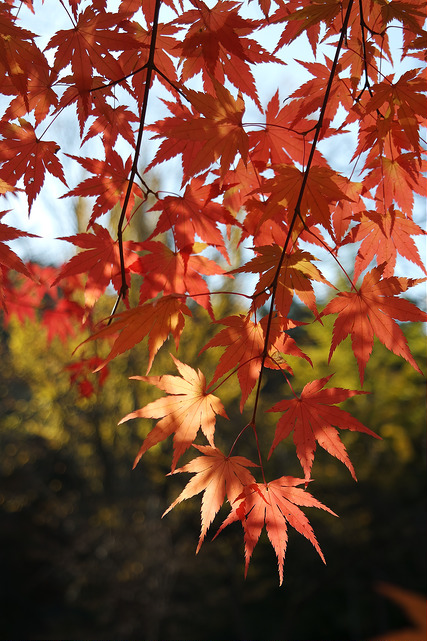 16102675722_64cfcea00d_z.jpg