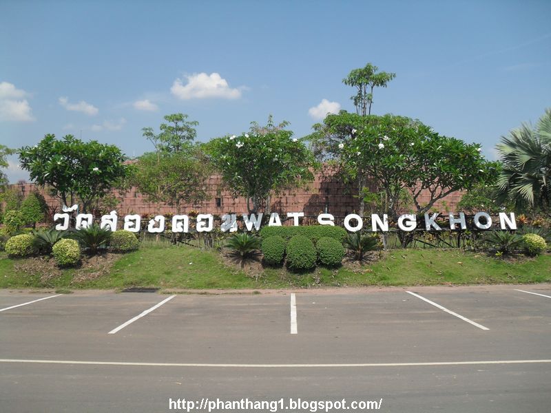 239.JPG