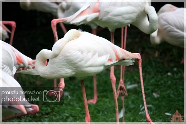 birdpark20.jpg