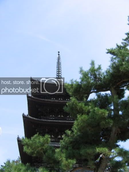 IMG_0646_resize.jpg
