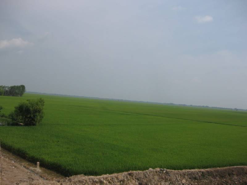 DongThapTET2011437.jpg