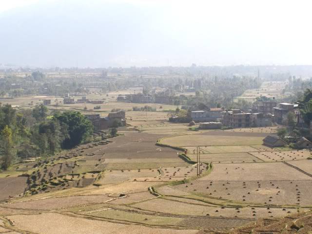 PB030754.jpg
