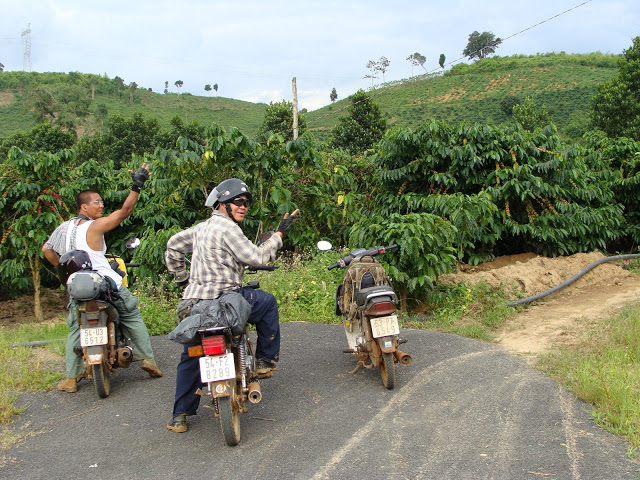 DSC03404.JPG