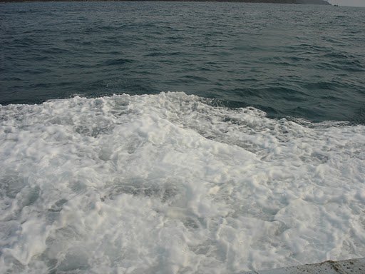 385619407.jpg