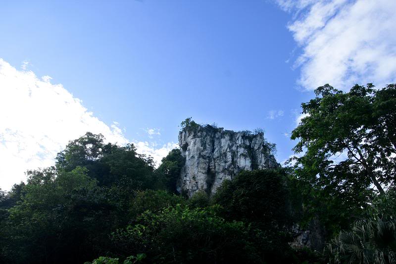 _MG_5636.jpg