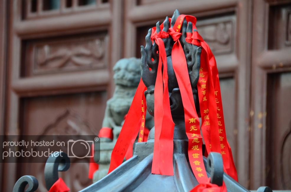 DSC_0265_zpsdf09a001.jpg