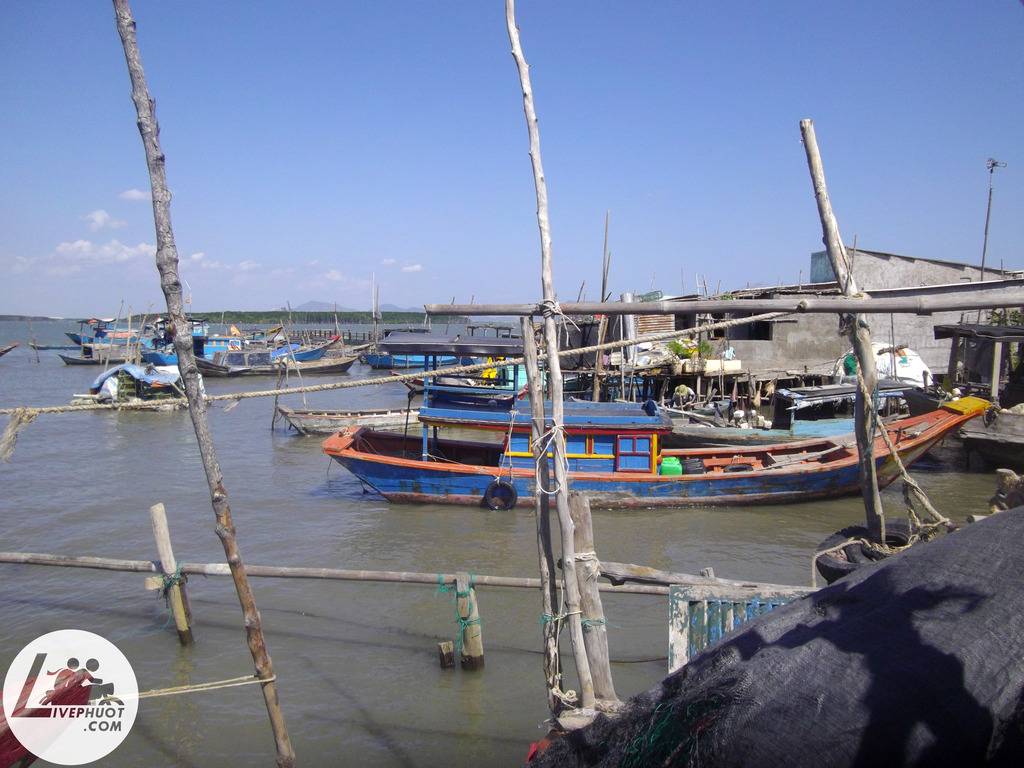 IMGP8056_zps95l61tgy.jpg