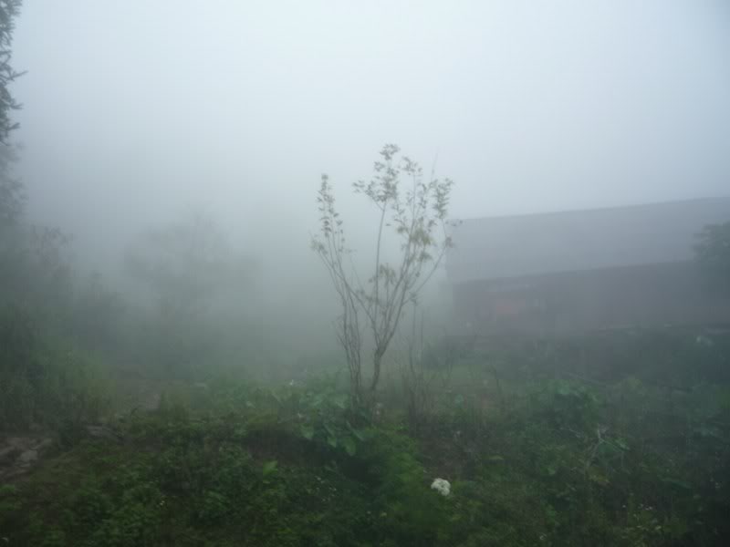 P1020254800x600.jpg