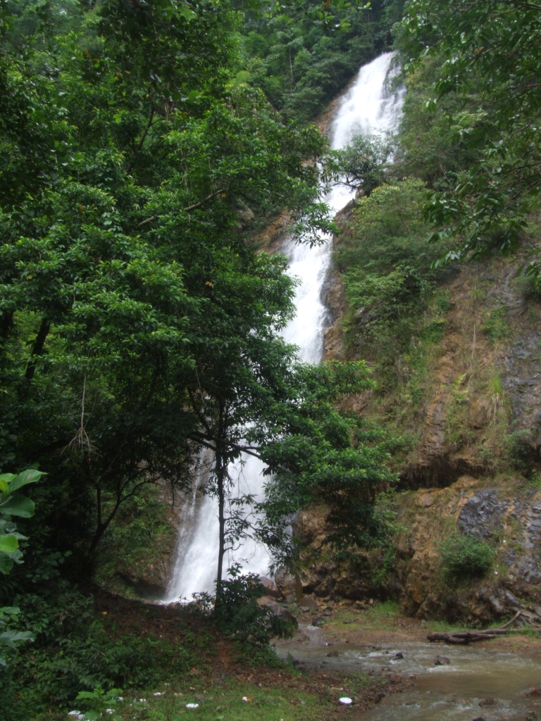 DSCF1591.jpg