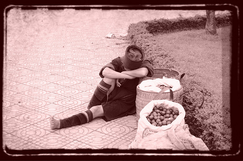 7466001074_7d69da108f.jpg