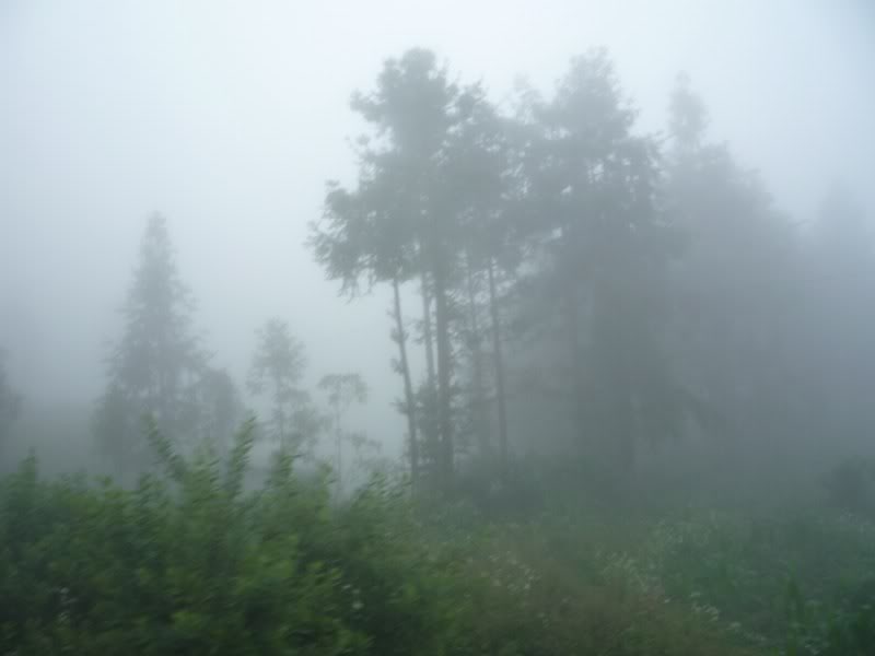P1020252800x600.jpg