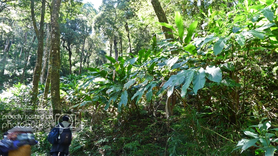 P1140739.jpg