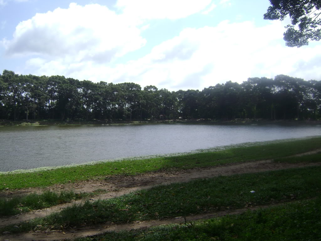 d9407628.jpg