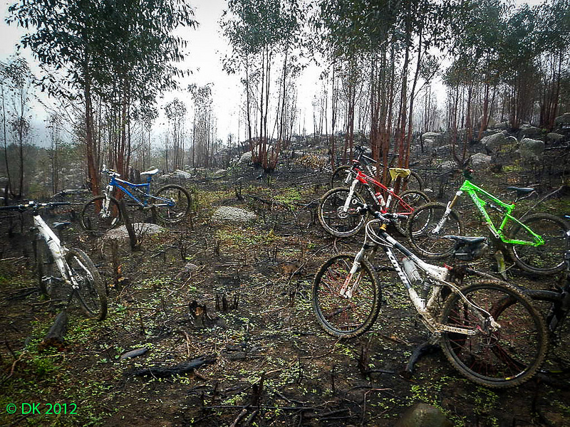 6999519747_9658709c6d_c.jpg