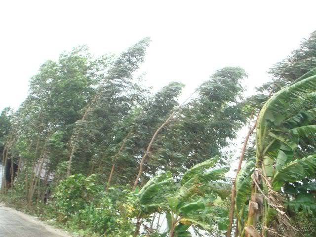 AnGiang2009_0008.jpg