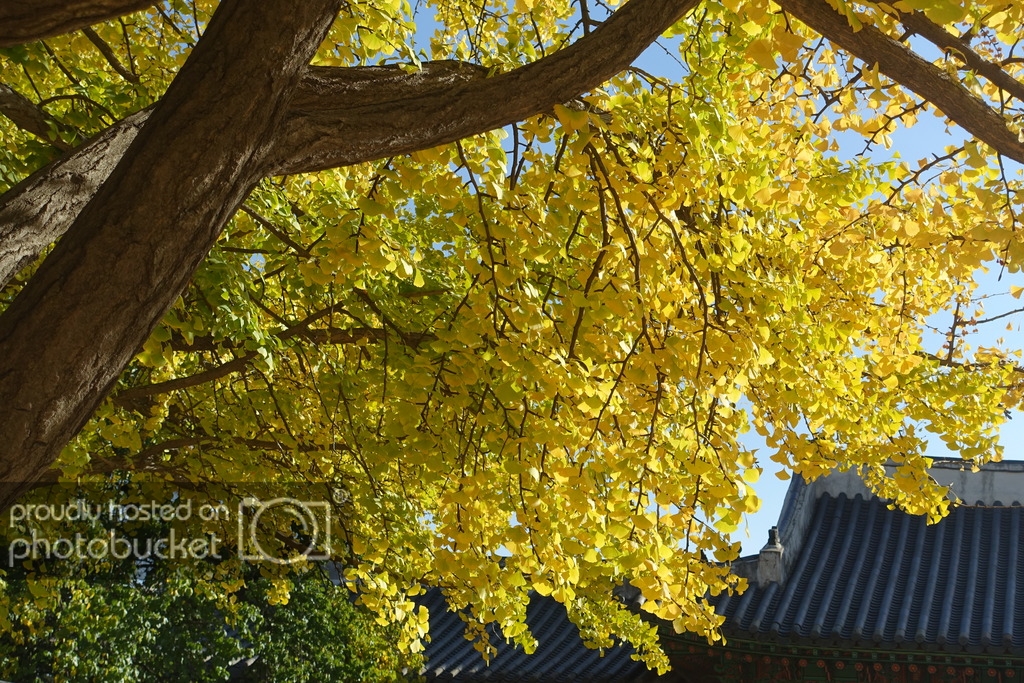 DSC01801_zpsoxjvr00i.jpg