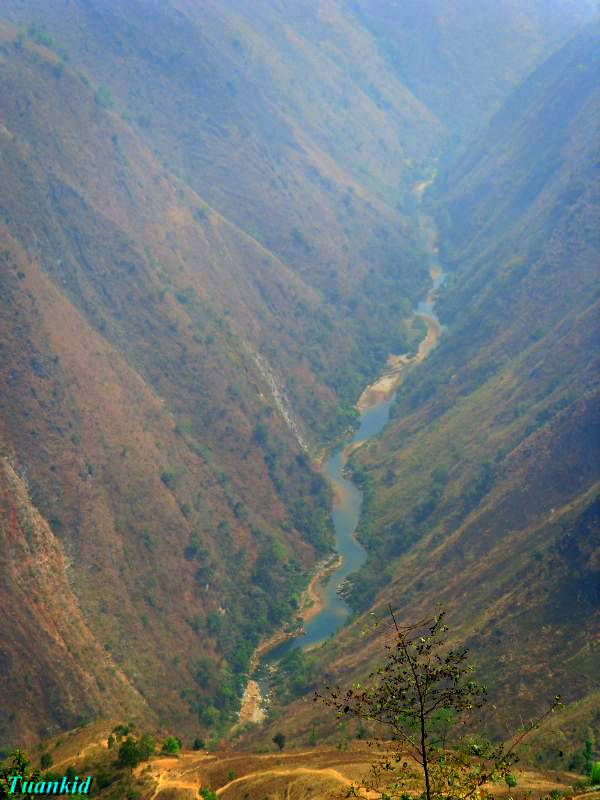 SDC16444.jpg