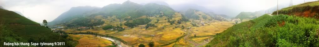 ruongbacthangsapa3.jpg