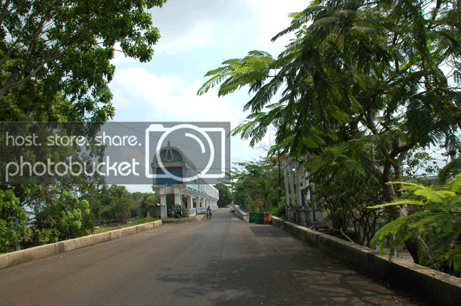 DSC_5610.gif