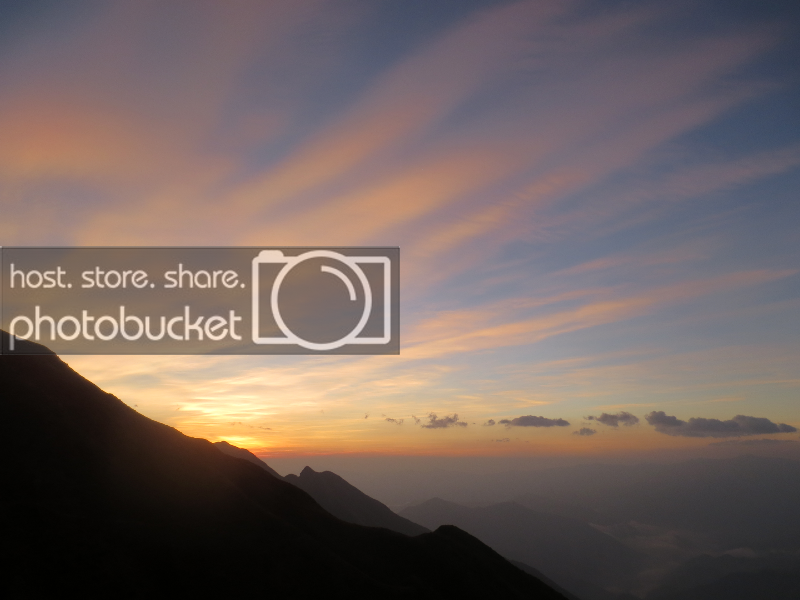 IMG_2979_zpsc2d199ef.png
