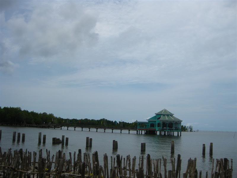 IMG_6559Medium.jpg